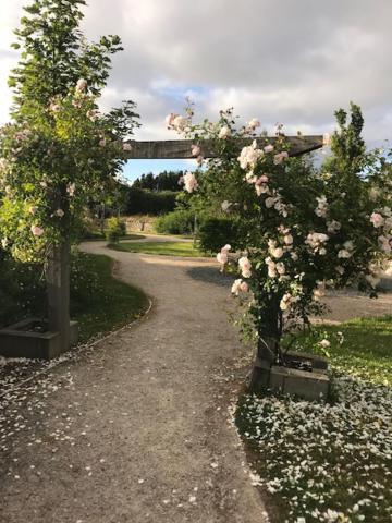Bed & Breakfast Inisean Ocean View